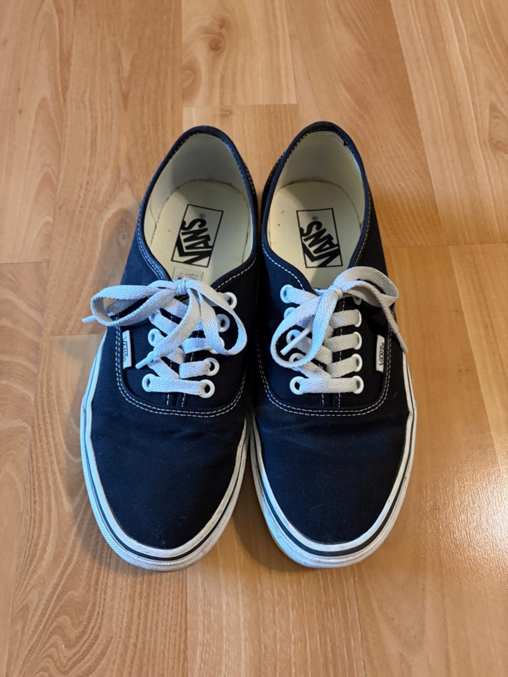 Vans Authentic Classic Black & White Skate Shoes